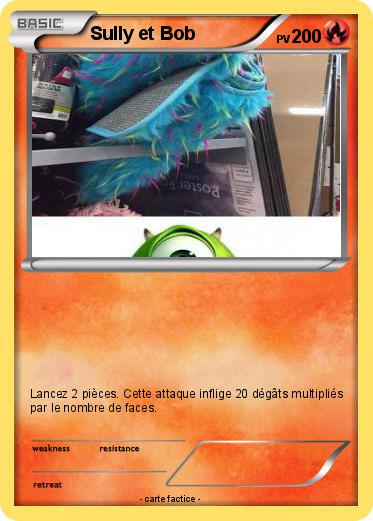 Pokemon Sully et Bob