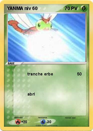 Pokemon YANMA niv 60