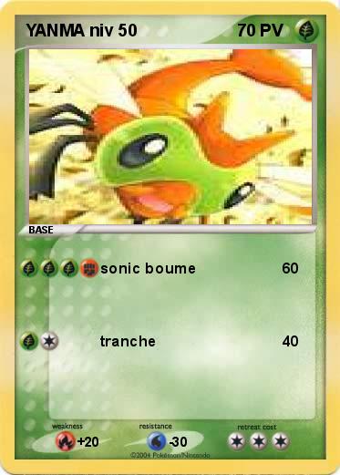 Pokemon YANMA niv 50