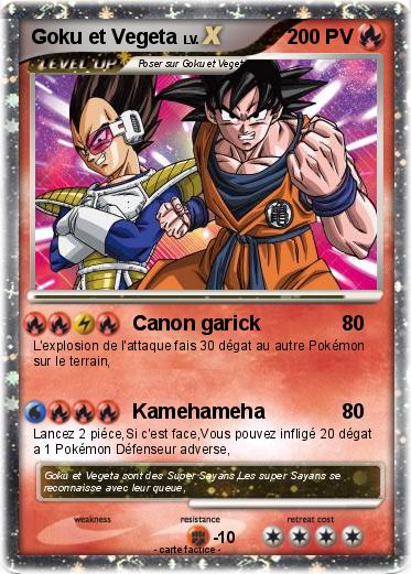 Pokemon Goku et Vegeta