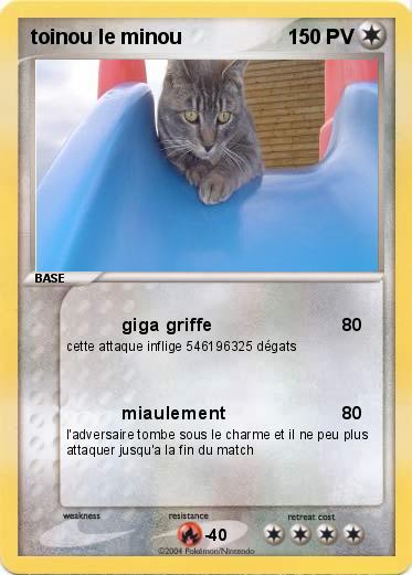 Pokemon toinou le minou