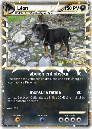Pokemon Léon