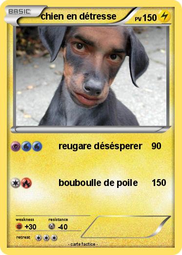 Pokemon chien en détresse