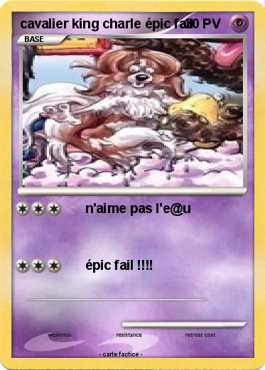 Pokemon cavalier king charle épic fail