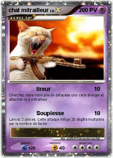 Pokemon chat mitrailleur