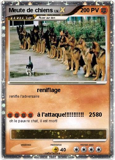 Pokemon Meute de chiens