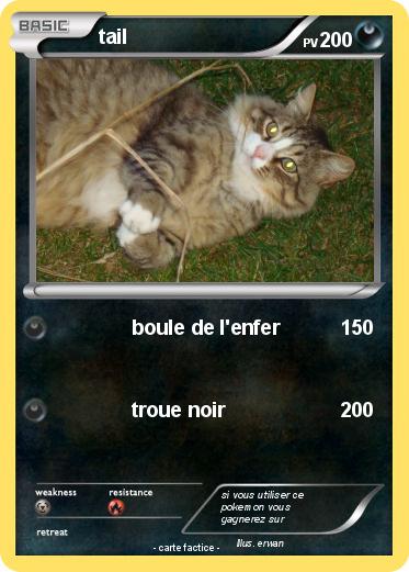 Pokemon tail