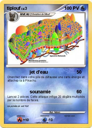 Pokemon tiplouf