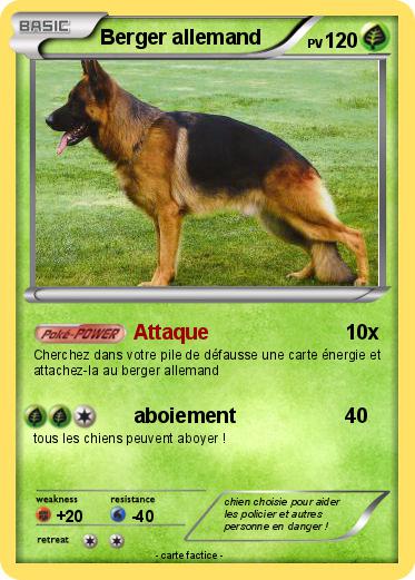 Pokemon Berger allemand