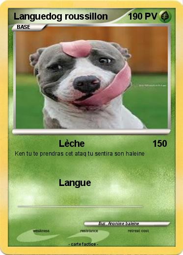 Pokemon Languedog roussillon