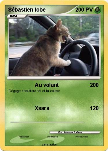 Pokemon Sébastien lobe