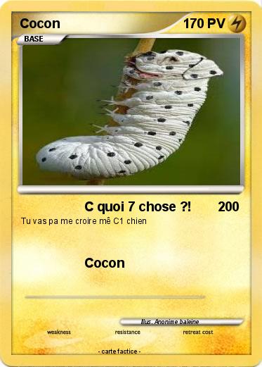 Pokemon Cocon