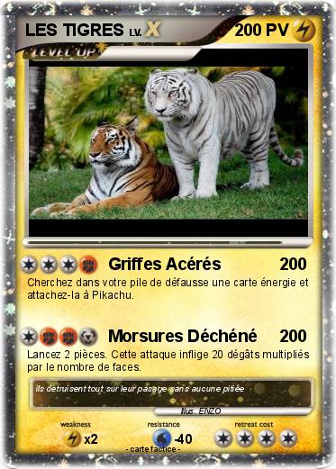 Pokemon LES TIGRES