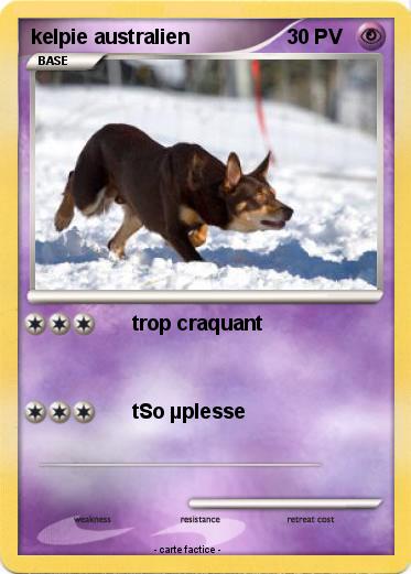 Pokemon kelpie australien