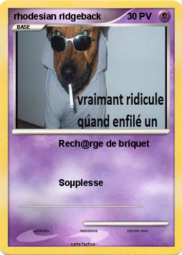 Pokemon rhodesian ridgeback