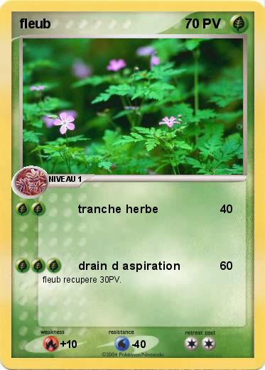 Pokemon fleub