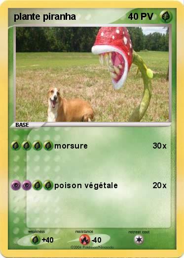 Pokemon plante piranha