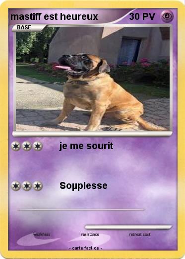 Pokemon mastiff est heureux