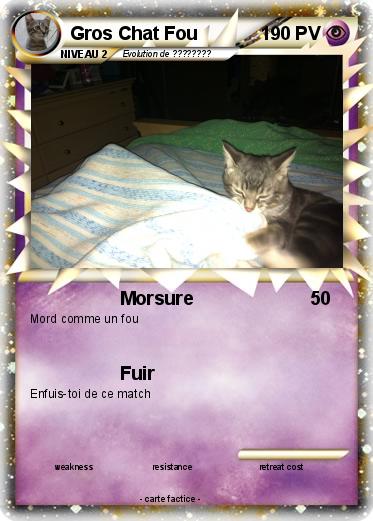 Pokemon Gros Chat Fou