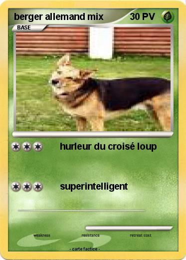 Pokemon berger allemand mix