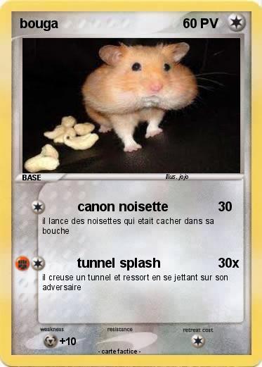 Pokemon poum poum