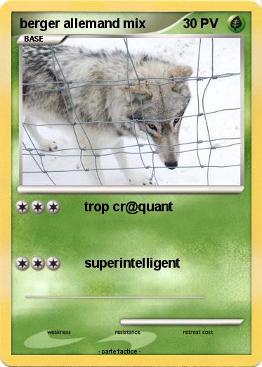 Pokemon berger allemand mix