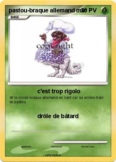 Pokemon pastou-braque allemand mix