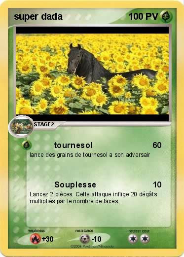Pokemon super dada