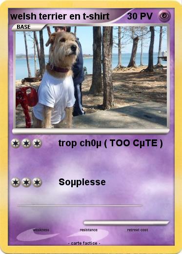 Pokemon welsh terrier en t-shirt