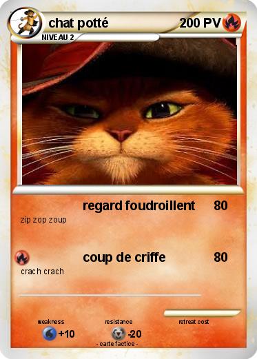 Pokemon chat potté