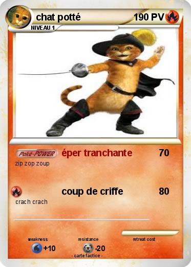 Pokemon chat potté
