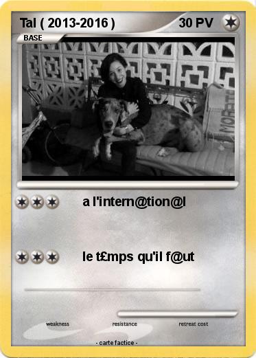 Pokemon Tal ( 2013-2016 )