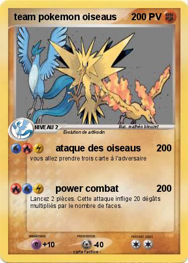 Pokemon team pokemon oiseaus