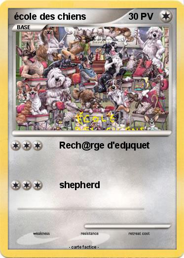 Pokemon école des chiens
