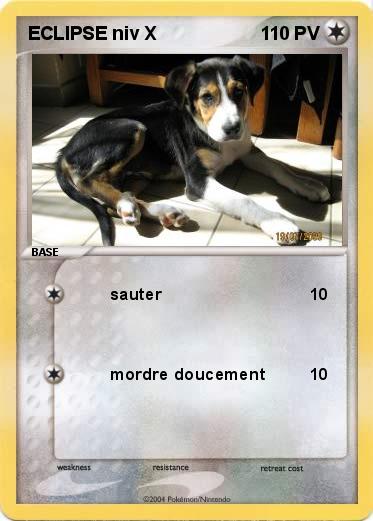 Pokemon ECLIPSE niv X