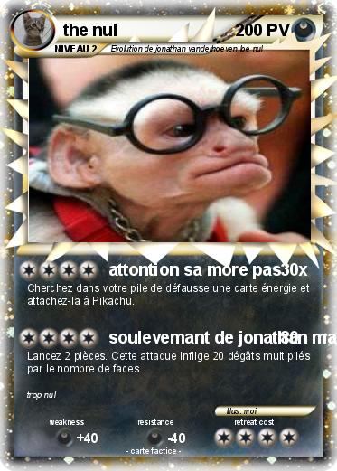 Pokemon the nul
