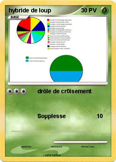 Pokemon hybride de loup