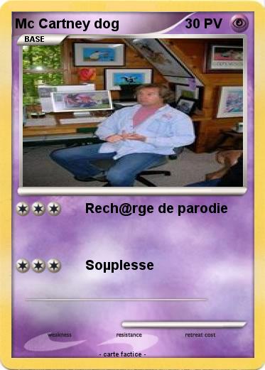 Pokemon Mc Cartney dog