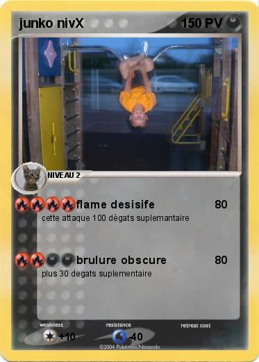 Pokemon junko nivX