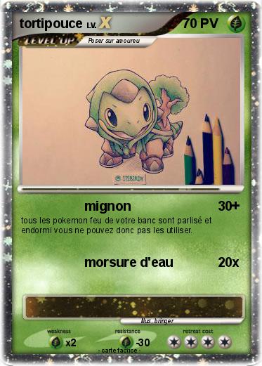Pokemon tortipouce