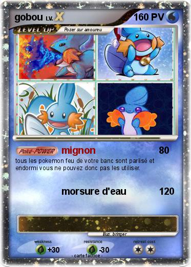 Pokemon gobou