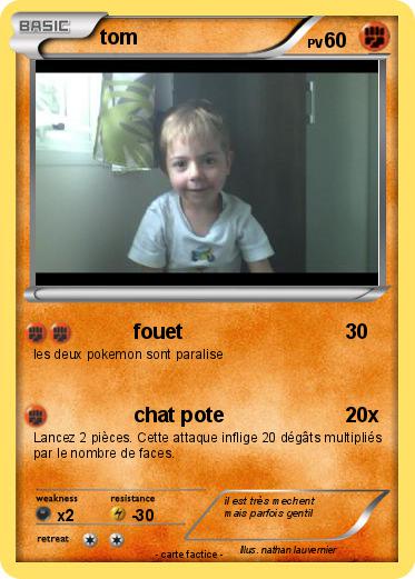 Pokemon tom