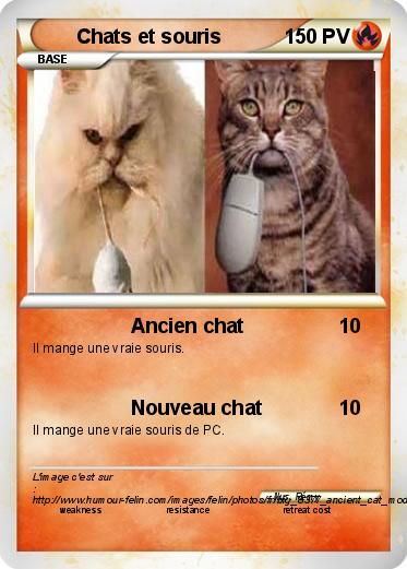 Pokemon Chats et souris