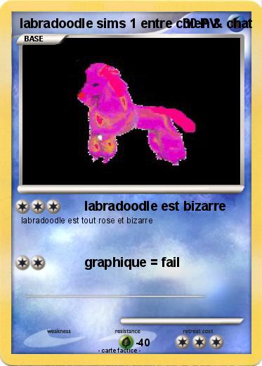 Pokemon labradoodle sims 1 entre chien & chat