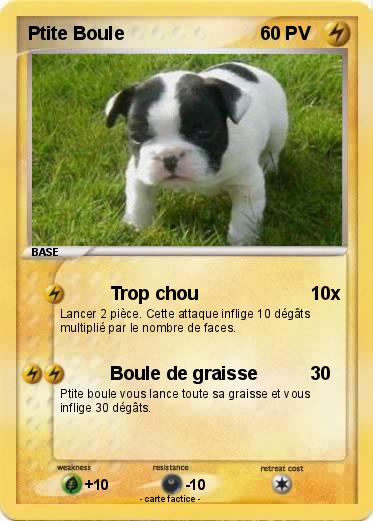 Pokemon Ptite Boule