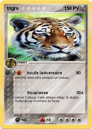 Pokemon trigre