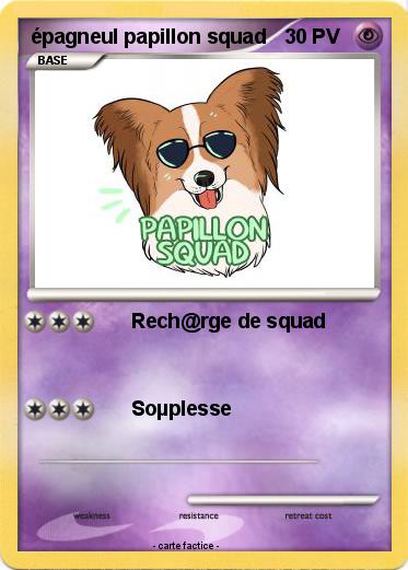 Pokemon épagneul papillon squad