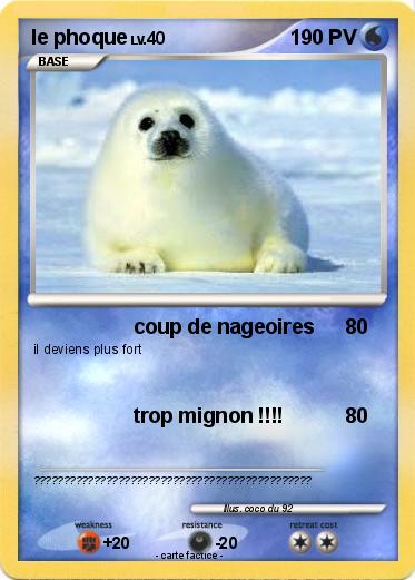 Pokemon le phoque