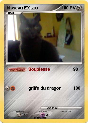 Pokemon bisseau EX