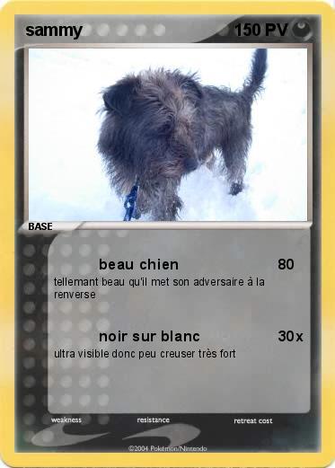 Pokemon sammy
